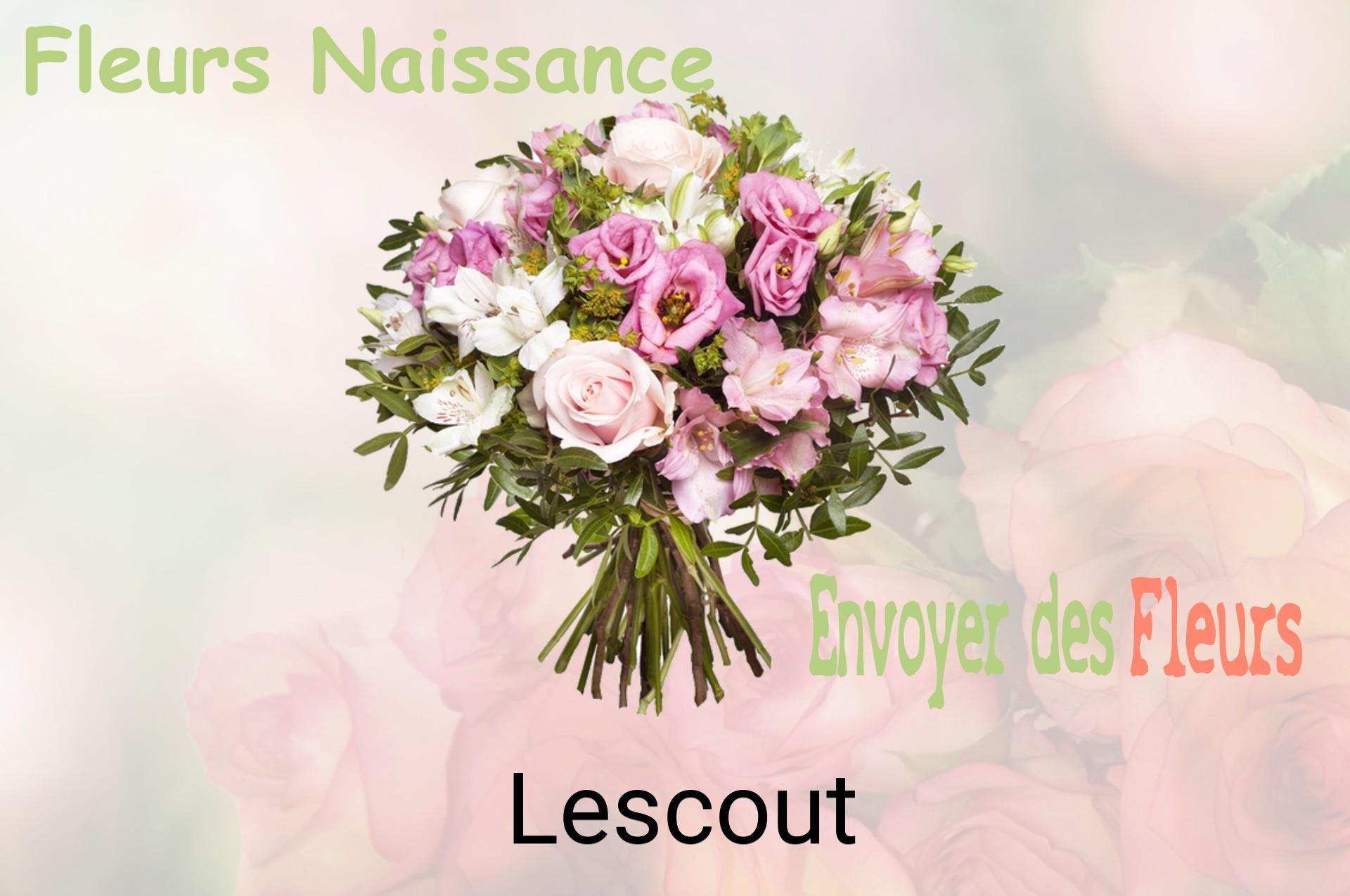 Bouquet de fleurs de naissance livré à Lescout